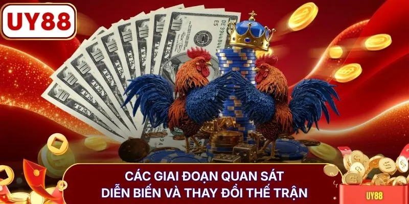 Các giai đoạn quan sát diễn biến và thay đổi thế trận