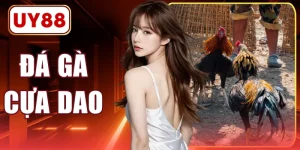 Đá Gà Cựa Dao 2026 - Luật Chơi Và Kinh Nghiệm Cần Biết