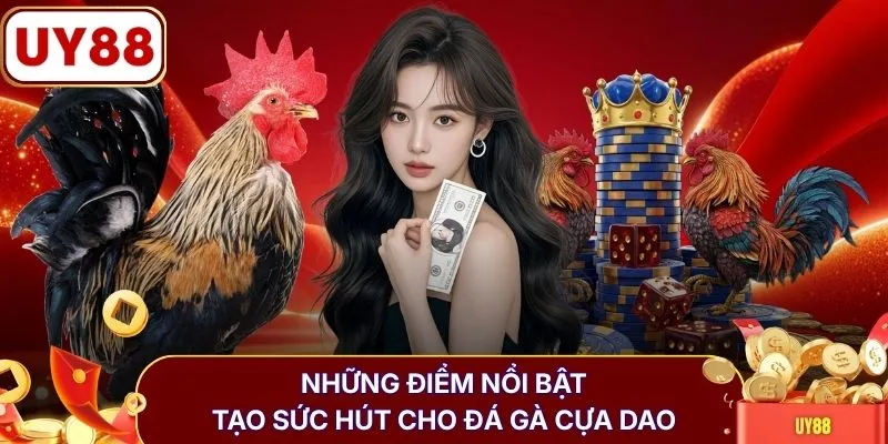 Những điểm nổi bật tạo sức hút cho đá gà cựa dao