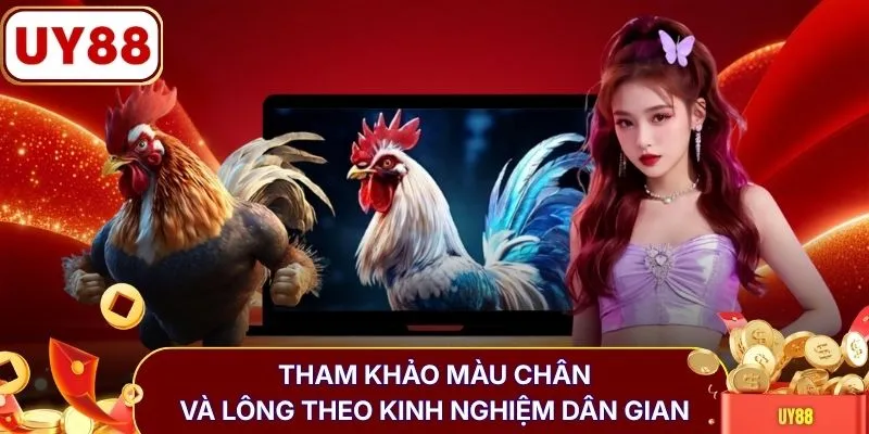 Tham khảo màu chân và lông theo kinh nghiệm dân gian