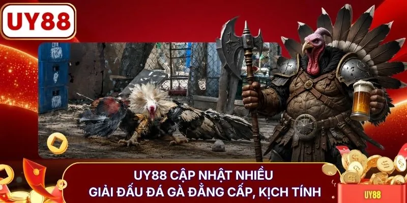 UY88 cập nhật nhiều giải đấu đá gà đẳng cấp, kịch tính